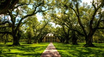 oak-alley-plantation