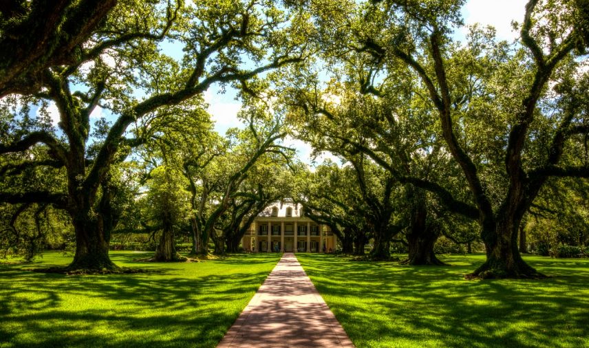 school trip louisiana