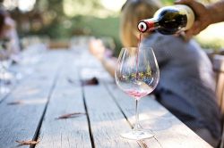 Wine tasting in Bardolino