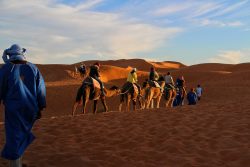 trip-morocco