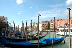 venetian boats
