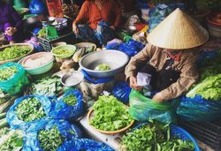 vietnamese-market