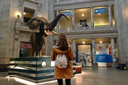 Museum of Natural History - The Smithsonian Institution