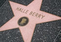 Halle Berry Hollywood star