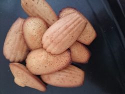 Madeleines