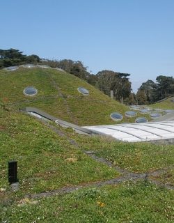 California-academy-of-sciences_Crop