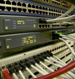 Computer science_Crop