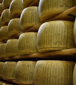 Parmesan_small