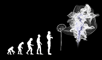 Diagram of evolution