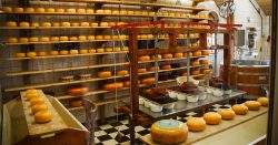 cheese_factory