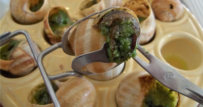 escargot_snail_farm