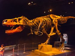 museum_of_science_boston