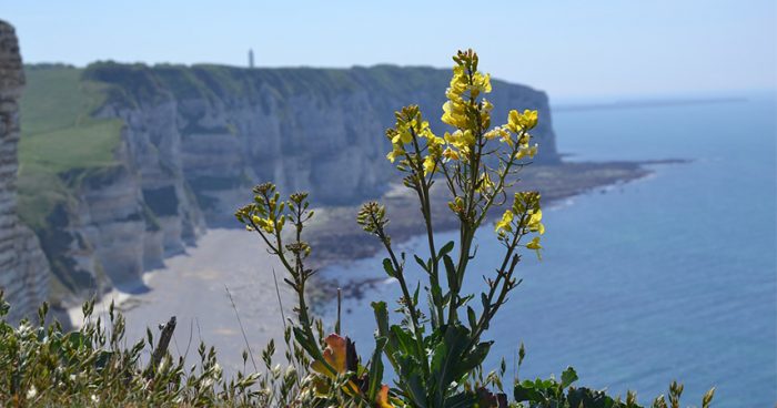 normandy_coast