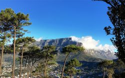 south_africa_mountain