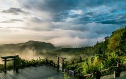 vietnam_jungle