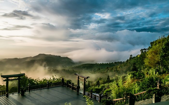 vietnam_jungle