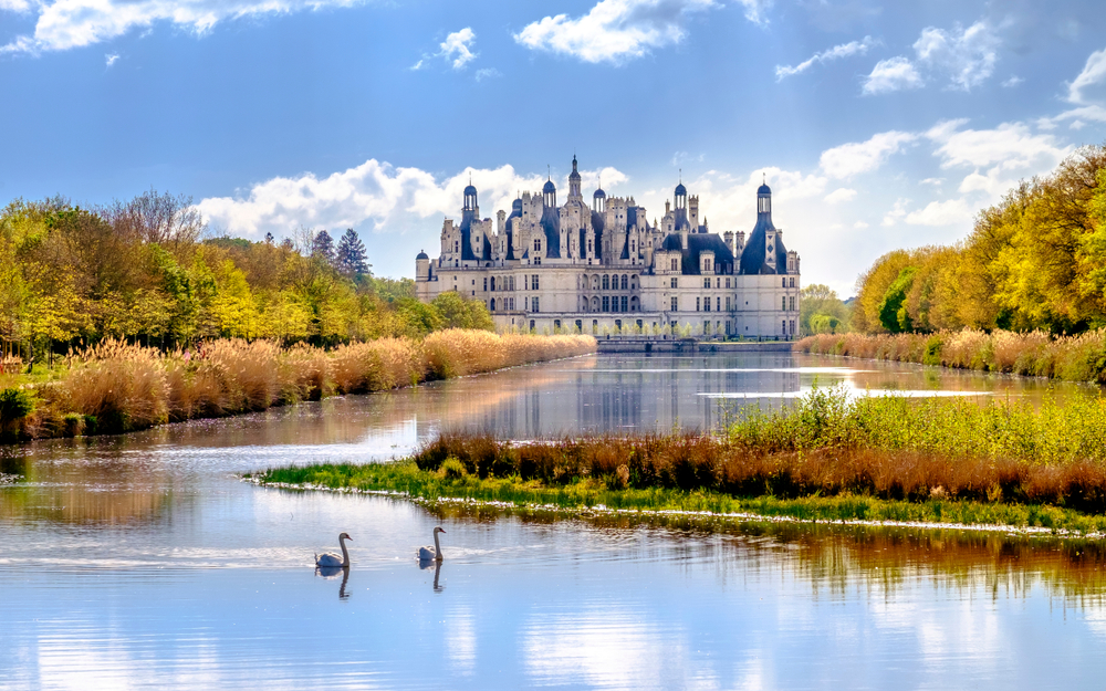 Two swans gliding on a lake in front of Chambord Castle in the Loire Valley