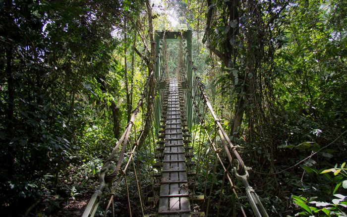borneo_national_park_website