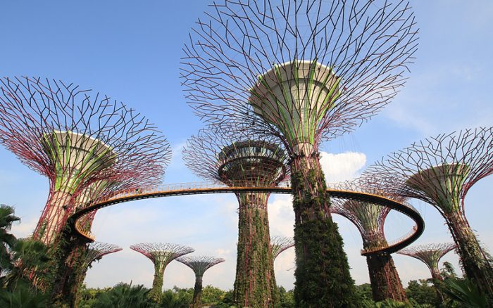 singapore_garden