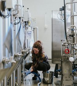 Behind the scenes, brewery