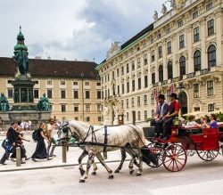 vienna-highlight