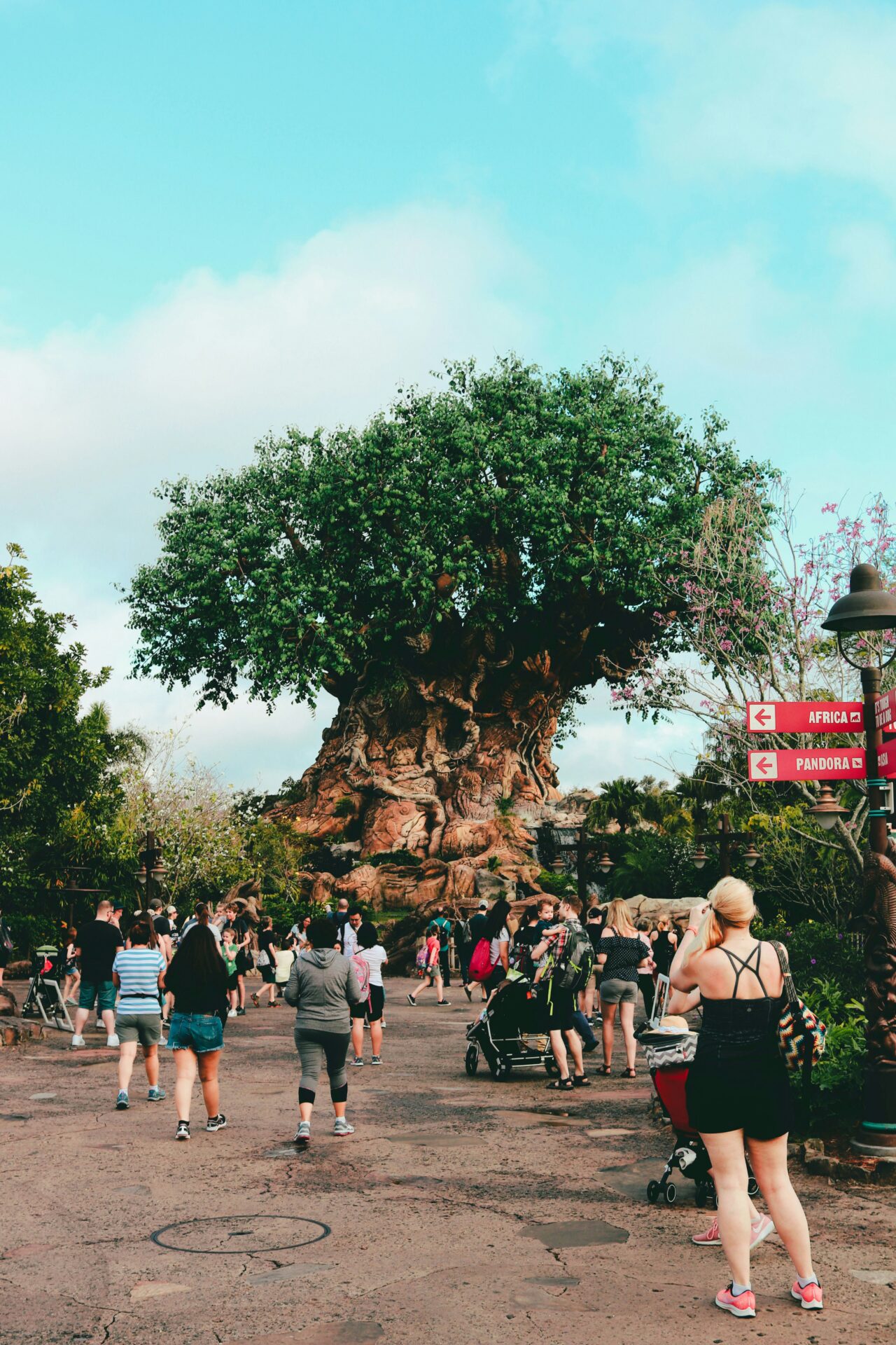 Animal Kingdom at Disney in Florida