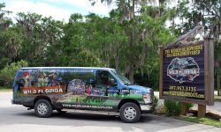 wild-florida-gator-park