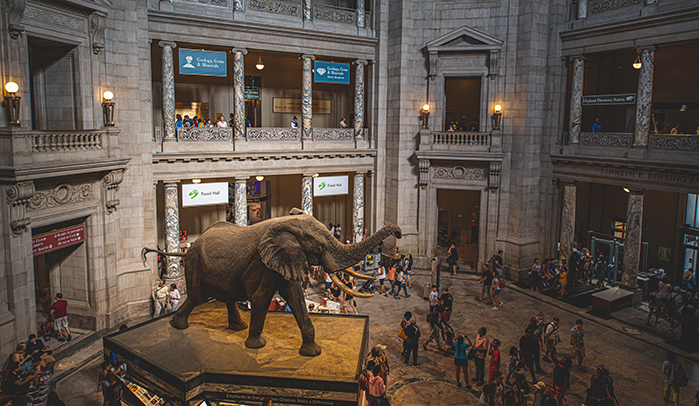 Information desk at the National Museum of Natural History