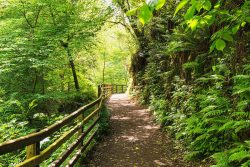 Glenariff Forest Park