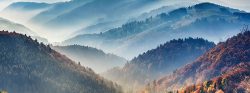 IMAGE | Black Forest, Germany