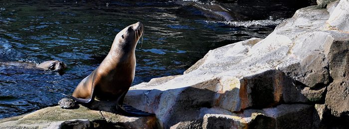 IMAGE | Zoo at Bremerhaven