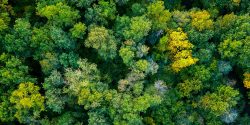 Sustainability at Travelbound