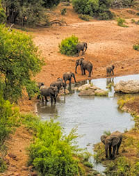 Image displaying the Pestana Kruger Lodge