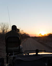 Sunset over the Kruger National Park, South Africa