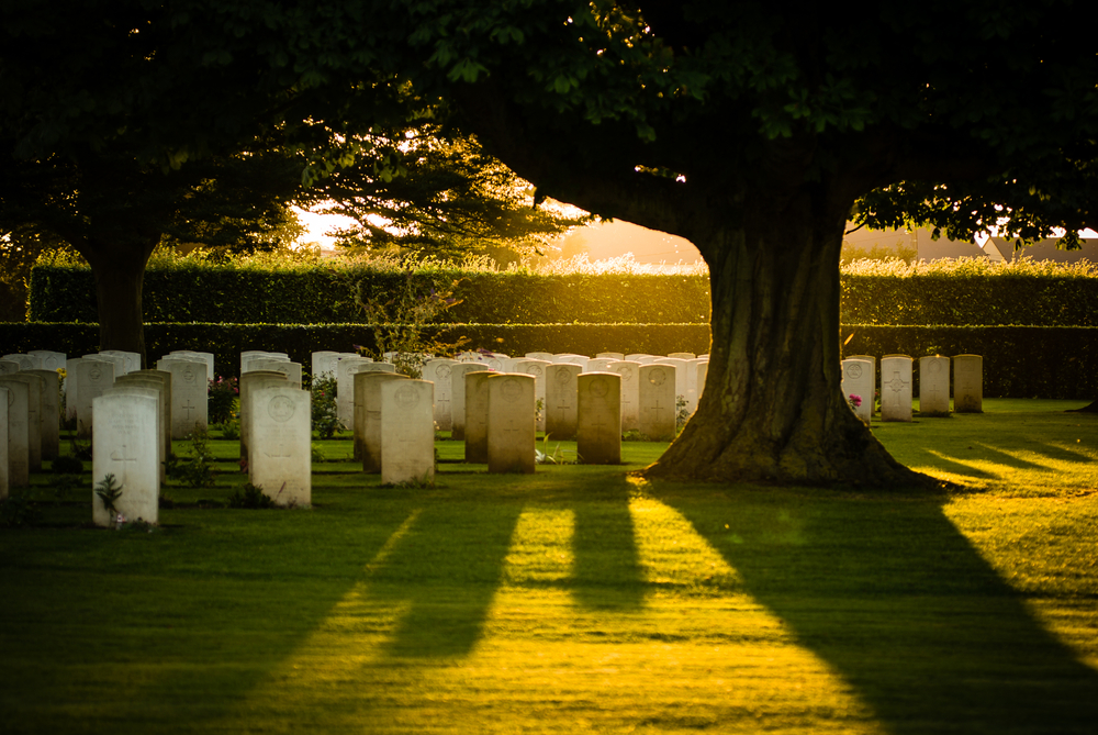 Golden sunlight over the Bayeux British War Cemetery in Normandy