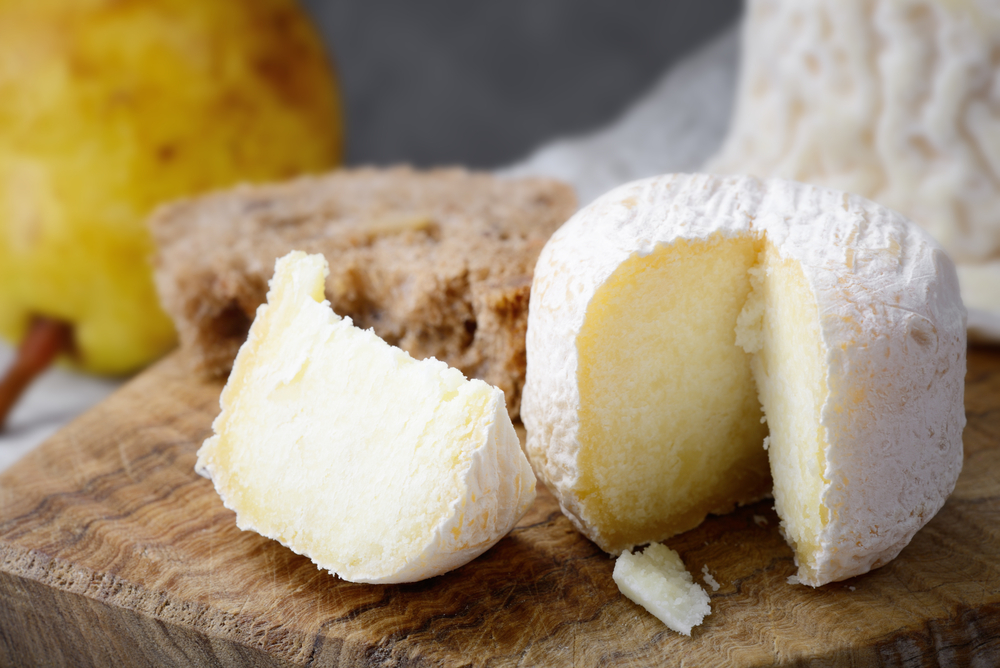 French goat cheese close-up