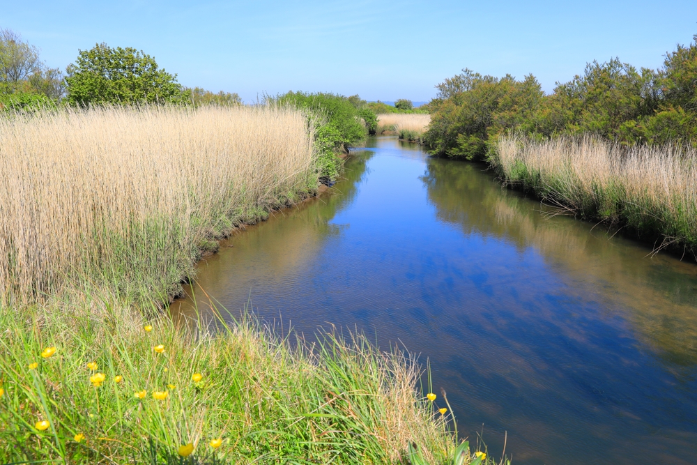 The Marais du Cotentin in Normandy