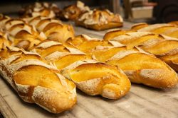 Freshly-baked baguettes at a French boulangerie