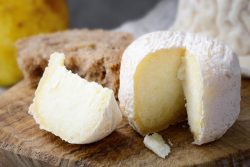 French goat cheese closeup