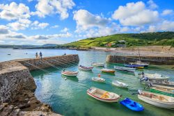 Port,Racine,,Cotentin,,Normandy,,France