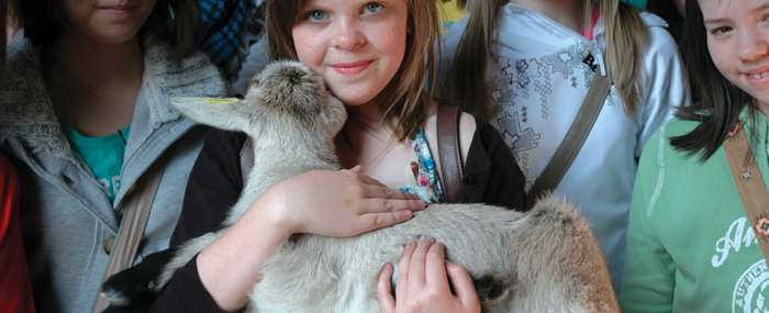 Students visiting a goat cheese farm in Normandy