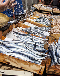 Catania Fish Market in Sicily