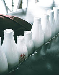 Milk bottles in a milk factory