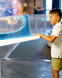 Student learning interactively at a science museum