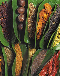 Sri lankan spices