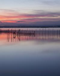 Albufera National Park