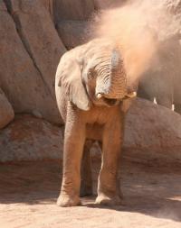 Bioparc