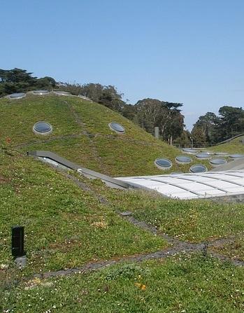 California Academy of Sciences