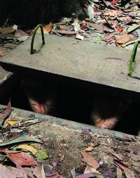 Cu Chi Tunnels
