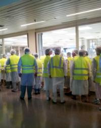 Danone Factory